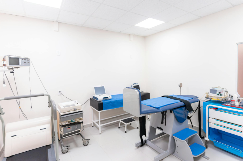 How to Have a Healthy Scepticism of Medicine and Health