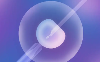 The Reality of In Vitro Fertilisation (IVF)